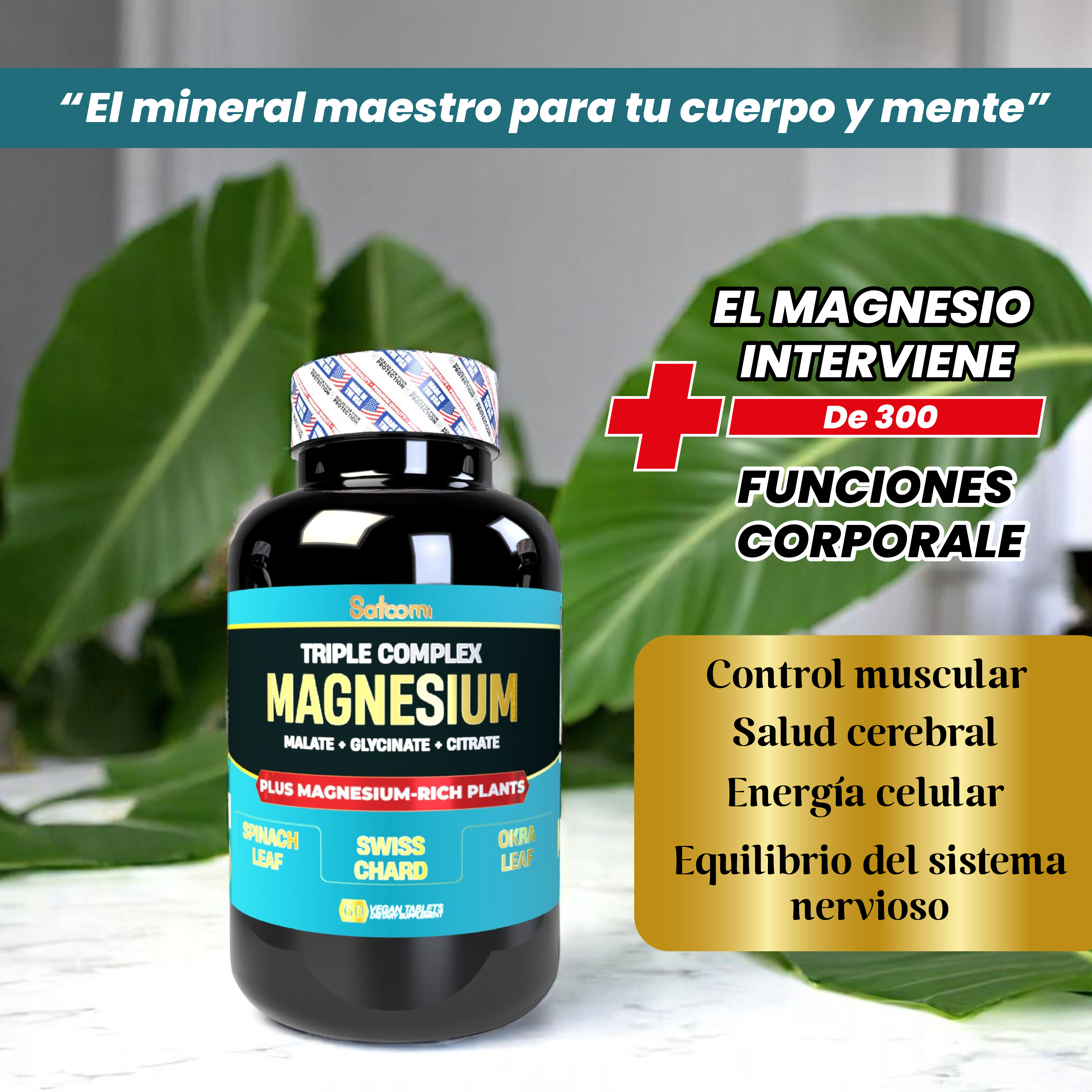 Citrato De Magnesio con Proteina Vegan